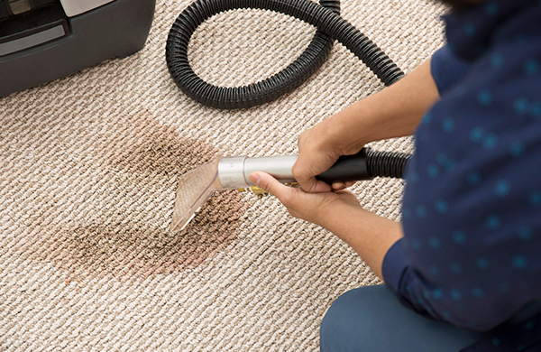 How To Properly Steam Clean A Carpet