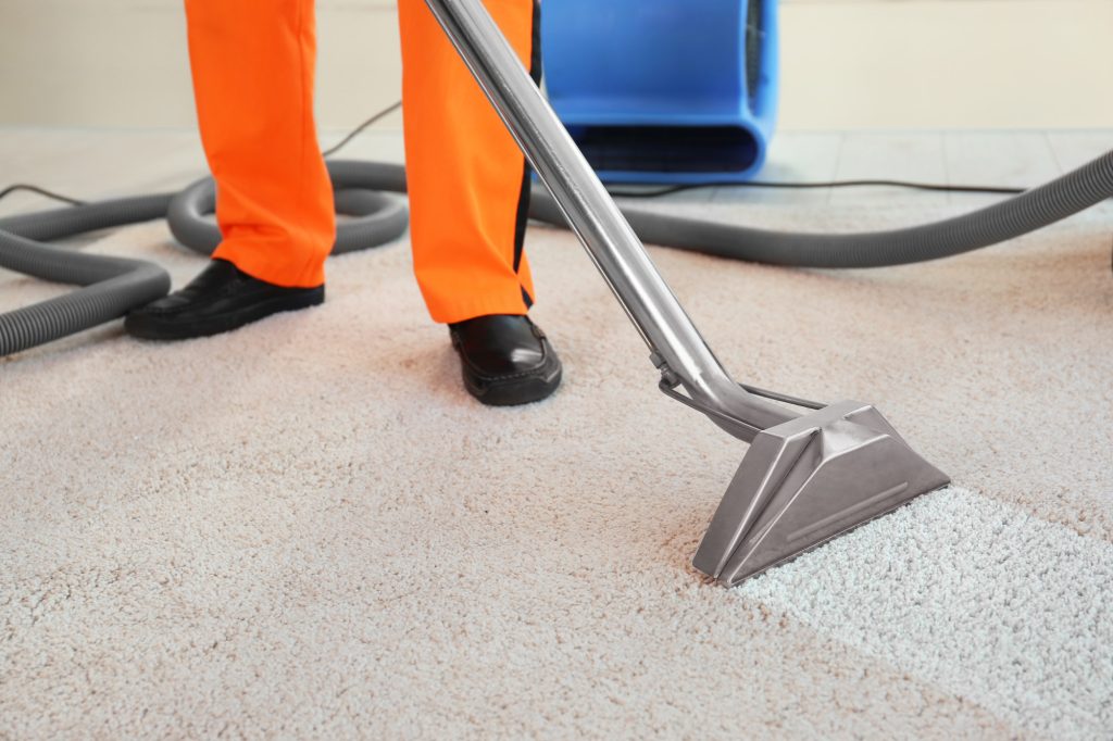 The Ultimate Guide to Carpet Cleaning Safety